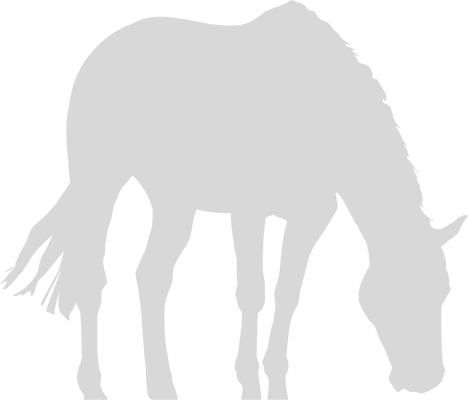 Its dream form, a grazing horse